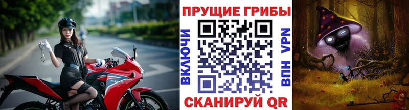 Псилоцибиновые грибы GOLDEN TEACHER  Аксай 